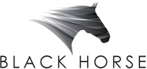 BLACK HORSE GROUP